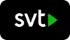 svt-1-1.webp